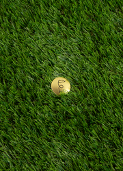 golf ball markers